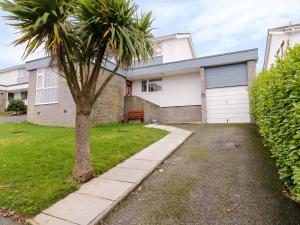 a palm tree in front of a house at Gwelfor in Cemaes Bay