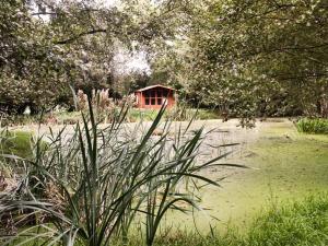 a small red building in the middle of a pond at High Park Barn in Uffculme