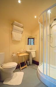 a bathroom with a toilet and a shower and a sink at Down Ende House Accommodation in Looe