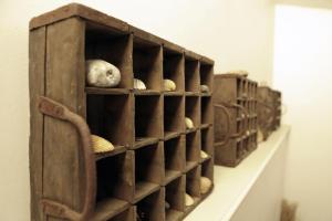 a shelf with many different types of mushrooms on it at Strandperle Lieblingsplatz Hotel in Travemünde