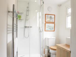 a bathroom with a shower and a toilet at Lower Hodre in Bucknell +31 photos