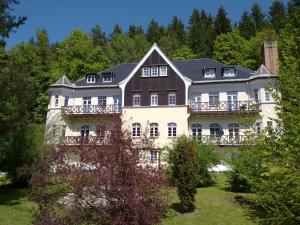 ein großes weißes Haus mit Balkonen und Bäumen in der Unterkunft Villa Wilisch in Amtsberg