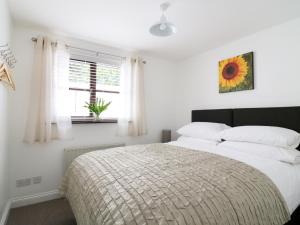 ein Schlafzimmer mit großem Bett und Fenster in der Unterkunft Seal Cottage in Woolacombe