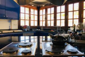 A kitchen or kitchenette at Pyrgi Spetses
