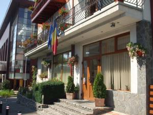 un bâtiment devant lequel se trouvent des drapeaux et des plantes en pot dans l'établissement Vila Ana-Maria, à Sinaia