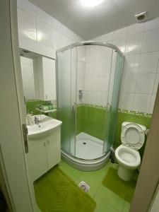 a bathroom with a shower and a toilet and a sink at Veliki Raj Plus in Stenjevac