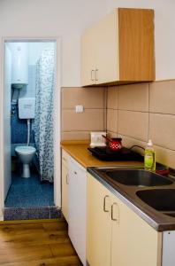 A kitchen or kitchenette at Apartments Ozren