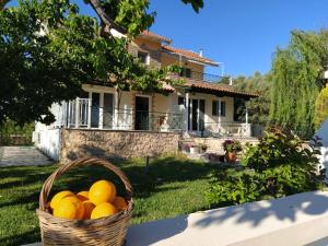 En have udenfor Queen Bay studios