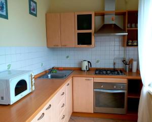 Una cocina o kitchenette en Отдельная комната с балконом в апартаментах, возле м Печерская