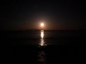 Φυσικό τοπίο κοντά σε αυτό το ryokan
