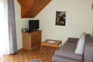 a living room with a couch and a tv at Ferienhaus Drobesch in Sankt Kanzian