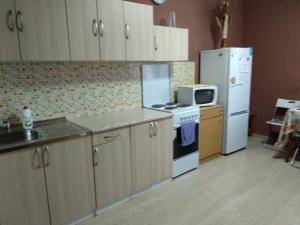 クラスノゴルスクにあるApartment on Krasnogorskiy bulvar 48のキッチン(コンロ、冷蔵庫付)