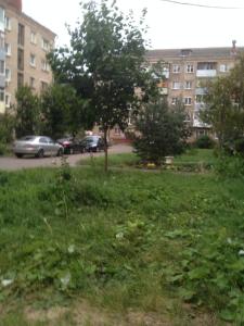 ルイビンスクにあるStudio Uspenskogo 7bの市車の草原