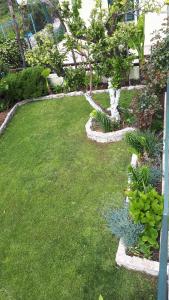 a garden with green grass and some plants at Apartments Simo in Petrovac na Moru