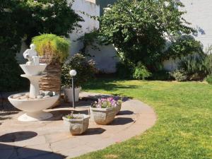 Zahrada ubytování Stemar Self Catering