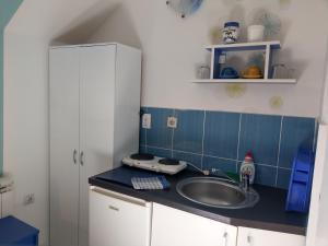 Kuchyň nebo kuchyňský kout v ubytování Apartment Harmonija apatin