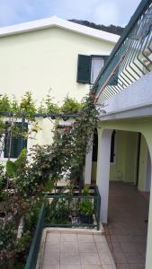 a house with a plant growing on the side of it at Apartments Simo in Petrovac na Moru