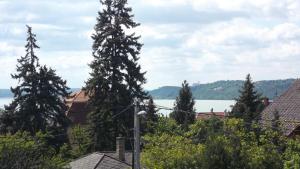 un groupe d'arbres et une masse d'eau dans l'établissement Anita Apartmanház, à Balatonfüred