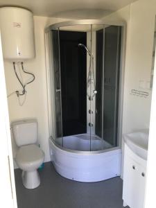 W łazience znajduje się prysznic, toaleta i umywalka. w obiekcie Maximus domki w mieście Krynica Morska