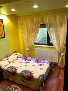 1 dormitorio con 1 cama y una ventana con cortinas en Clau Apartment, en Galaţi