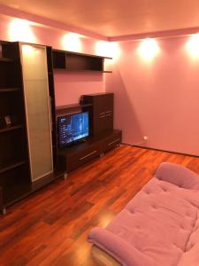 sala de estar con sofá y TV de pantalla plana en Clau Apartment, en Galaţi