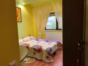 a bedroom with a bed in a room with a window at Clau Apartment in Galaţi