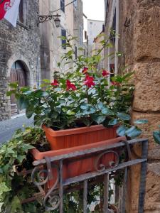 Fotografie z fotogalerie ubytování Historical Domus v destinaci Anagni