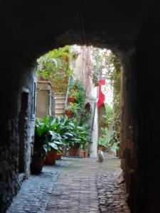 Hosté ubytování Historical Domus