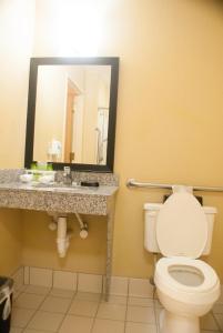 a bathroom with a toilet and a sink and a mirror at Holiday Inn Express & Suites Jacksonville South - I-295, an IHG Hotel in Jacksonville
