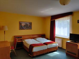 Dormitorio con cama, escritorio y TV en HOTEL ŻUŁAWY, en Elbląg