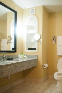 y baño con lavabo y aseo. en Holiday Inn Express & Suites Jacksonville South - I-295, an IHG Hotel, en Jacksonville