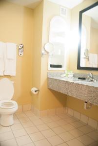 La salle de bains est pourvue de toilettes, d'un lavabo et d'un miroir. dans l'établissement Holiday Inn Express & Suites Jacksonville South - I-295, an IHG Hotel, à Jacksonville
