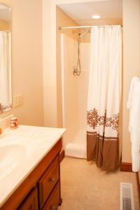 baño con lavabo y cortina de ducha en Millsite Lodge, en Sandusky