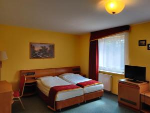 TV a/nebo společenská místnost v ubytování HOTEL ŻUŁAWY