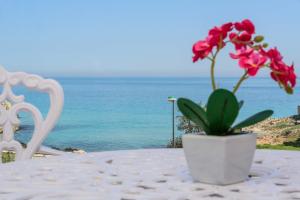 Paisagem natural perto do bed and breakfast