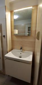 捷克克魯姆洛夫的住宿－亞當公寓式酒店，浴室设有白色水槽和镜子