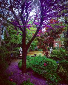 a tree with purple flowers in a garden at Cascina CORTEPRIMAVERA, B&B del Baliot in Passirano