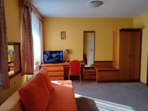 TV a/nebo společenská místnost v ubytování HOTEL ŻUŁAWY