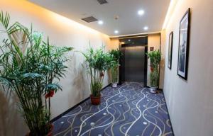 a hallway with potted plants in a hallway at 7Days Premium Tangshan Fengnan Shuang Lake Jinyuan in Tangshan