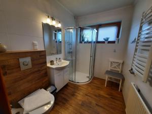 扎科帕內的住宿－Pokoje Gościnne KAMI，带淋浴、卫生间和盥洗盆的浴室