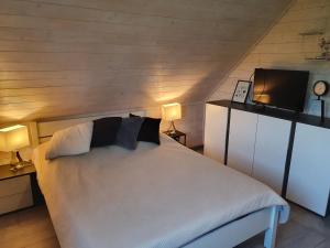 sypialnia z łóżkiem z 2 lampami i telewizorem w obiekcie Agroturystyka z Widokiem na Szczyrk w mieście Bierna