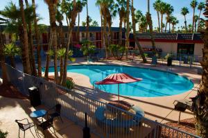 a swimming pool with an umbrella and palm trees at Ramada by Wyndham Yuma in Yuma