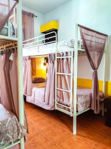ラゴスにあるSol a Sol Hostelのハウス内の二段ベッド2台が備わる部屋