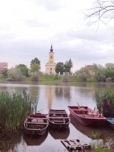 four boats in the water with a church in the background at Apartment at Gagijevo sedlo in Morović