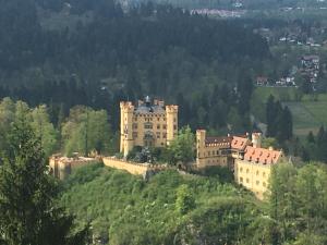 a castle on top of a hill with trees at Downtown in Füssen