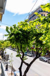 a tree on the side of a city street at Xsoma Flats "Twins" in Thessaloniki