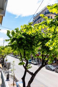 een boom aan de zijkant van een stadsstraat bij Xsoma Flats "Twins" in Thessaloniki