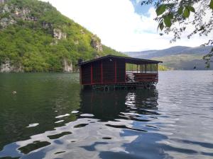 a small boat in the middle of a lake at Raft Perućac in Rastište