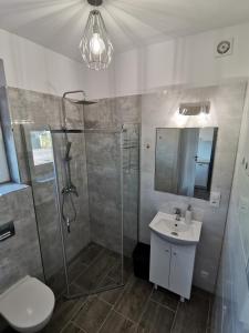 W łazience znajduje się prysznic, umywalka i toaleta. w obiekcie Domki apartamentowe BALIA w mieście Mieroszyno