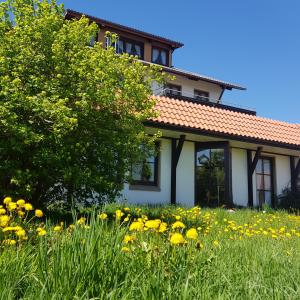 Zahrada ubytování Landgasthof Ritter